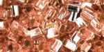 11T-31 Silverlined Champagne 11T-31 Silverlined Champagne
